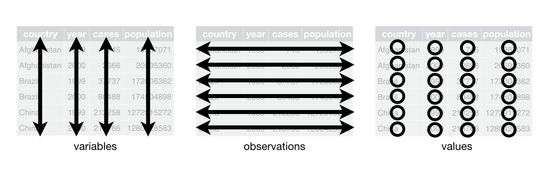 tidydata